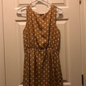 JCrew Polka Dot dress